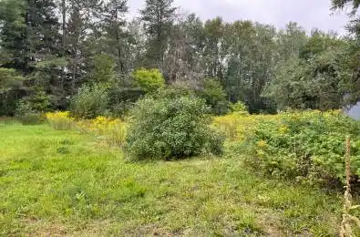 LOTS 93-95 Empire Street Kearney Ontario P0A 1M0