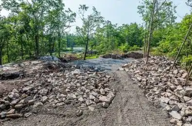 Fire 79B Route Trent Lakes Ontario K0L 1J0