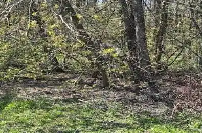 145 Courtland Street Ramara Ontario L3V 6H7