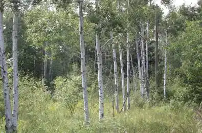 380 Highway 15 N/A Rideau Lakes Ontario K7A 5B8