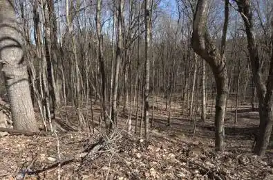 SOUTH MUSKOKA Drive Bracebridge Ontario P1L 1M4