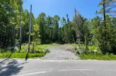 LOT 101 PL 1244 Drive Tiny Ontario L9M 0M5