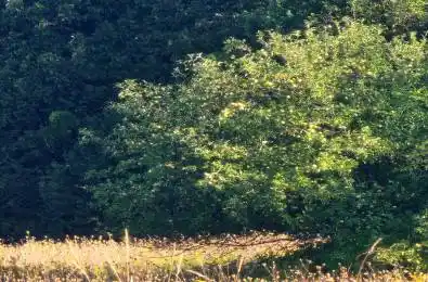 7020 Gallagher Road Manotick - Kars - Rideau Twp and Area Ontario K0A 