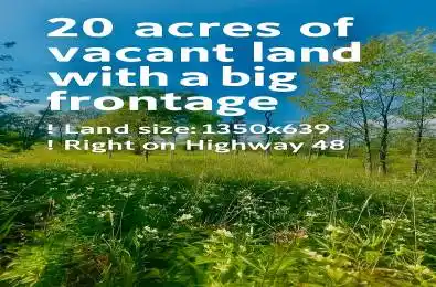 19983 Hwy 48 N/A East Gwillimbury Ontario L1G 1M0