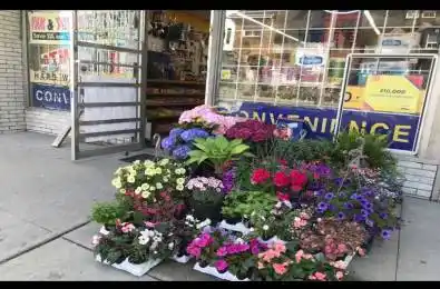 325 St George Street Toronto C02 Ontario M5R 2R2