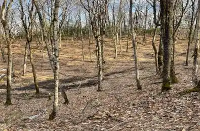 Rallison Road Faraday Ontario K0L 2L0