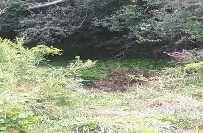 001 Lot 2 Conc 7 N/A Port Hope Ontario L0A 1B0