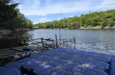 2318 Sherwood Forest Lane Severn Ontario L0K 1E0