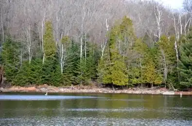 Clive Trail Dysart et al Ontario K0M 1S0