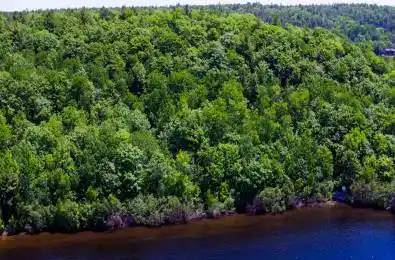 0 RONCASTER Lane Seguin Ontario P0G 1G0