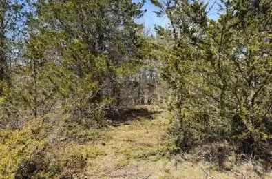 590 LOVE Road Loyalist Ontario K0H 2H0