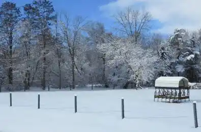 6824 10th Line New Tecumseth Ontario L0G 1A0