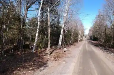 50 Concession 2 and 3 Road Huntsville Ontario P1H 2J3