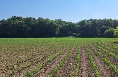 74018 Babylon Line Bluewater Ontario N0M 2T0