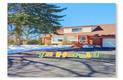 78 Harold Street Unit# BSMT Brampton Ontario L6Y 1E4